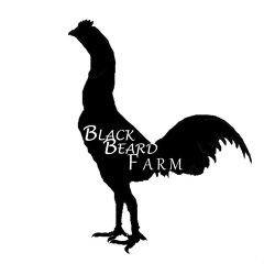 Blackbeard Farm, 36 лет