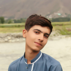 Talha Ahmad, 23 года, Peshawar