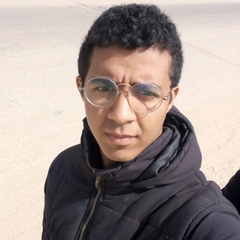 Ahmed Google, 25 лет, Cairo