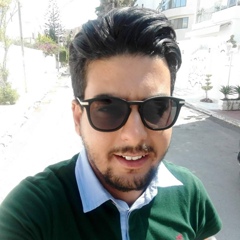 Mahmoud Chebbi, 33 года, Tunis