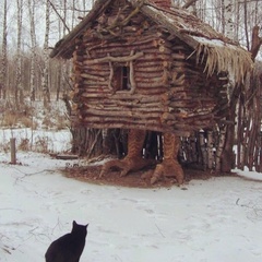 Ольга Воля, Кишинев