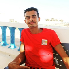 Mbarek Fadi, 26 лет, Sfax