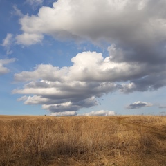 Макс Якимов, Казань