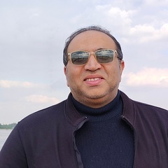 Hany Saleh, 44 года, Cairo