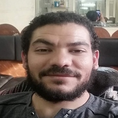 Mohamed Elayek, 32 года, Cairo