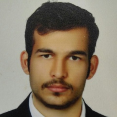 Amir Toreihi, 30 лет, Tehran