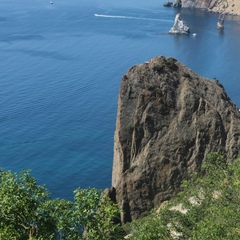 Александр Яковлев, Санкт-Петербург