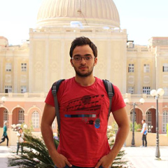 Hossam Hesham, 30 лет, Giza