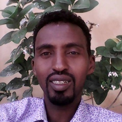 Ali Mohamed-Haji-Ibrahim, 40 лет, Mogadishu