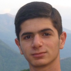 Razmik Aleksanyan, 25 лет, Ереван