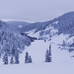 Мария Носова, Хабаровск