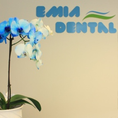 Emia Dental, Gravesend