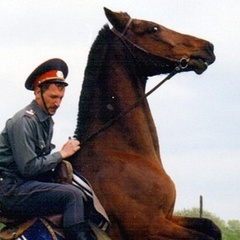 Евгений Жуков, Брянск