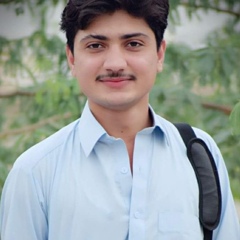 Wajahat Aftab, 27 лет, Islamabad