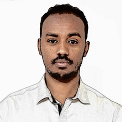 Shabcan Bulbul, 39 лет, Jijiga