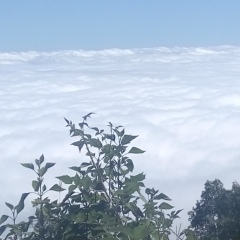 Ko Phyo, 38 лет, Pakokku