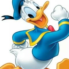 Donald Duck, Минск