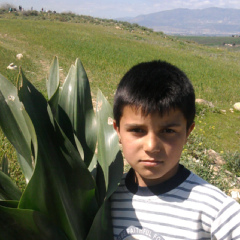 Hamza Habbak, Khemis Miliana