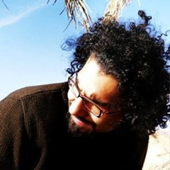 Mostafa Shawkat, 39 лет, Cairo