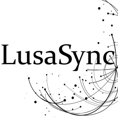 Lusa Sync, Porto