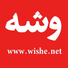 Wishe Dotnet, 42 года, Erbil