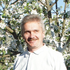 Дмитрий Романьков, Горки