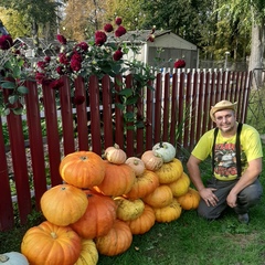 Георгий Соболев, 38 лет, Ярославль