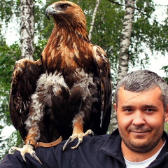 Дмитрий Павлов, Красноярск