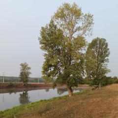 Вадим Мингазов, Уфа