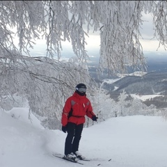 Александр Судеев, Приютово