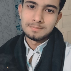 Choudhary Mohsin, 23 года, Rahīmyār Khān