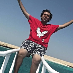 Mahmoud Fadl, 35 лет, Mansoura