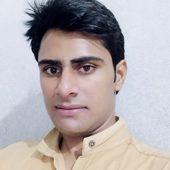 Wahid Razdan, 24 года, Jammu