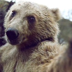 Евгений Долгов, Самара