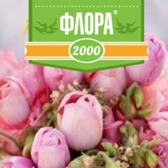 Флора Ру, 37 лет, Москва