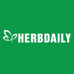 Herbdaily Limo, 30 лет