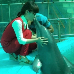 Lynk Dolphin, 34 года, Ho Chi Minh City