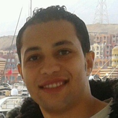 Ahmed Zaid, 37 лет, Cairo