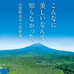 'karoshi 'aokigahara