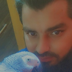 Bilal Anwar, 32 года