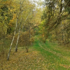 Дарья Громова, Москва