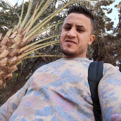 Youcef Salmi, 33 года, Oran