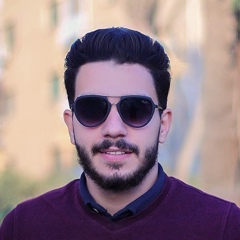 Mohamed Ragab, 28 лет, Damanhur