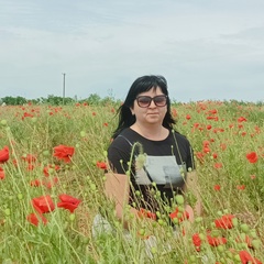 Юлия Торяник, 39 лет, Ростов-на-Дону