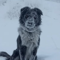 Андрей Уцын, Иркутский