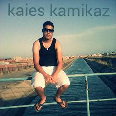 Kaies Kamikaz, 28 лет, Kairouan