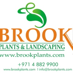 Brook Plants, 97 лет, Dubai