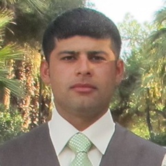 Amir-Hamza Zahed, 35 лет, Kabul