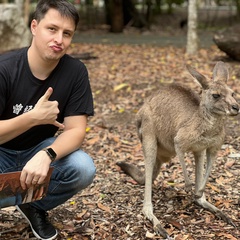 Богдан Мамаев, Brisbane