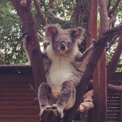 Natalia Hill, Darwin